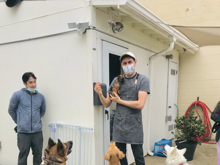 Ocean Paws team
