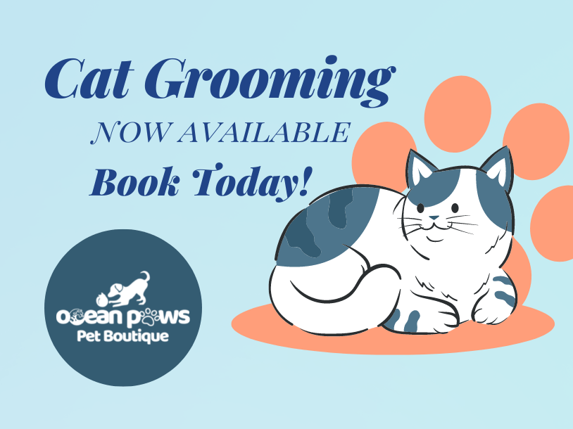 Cat Grooming Available