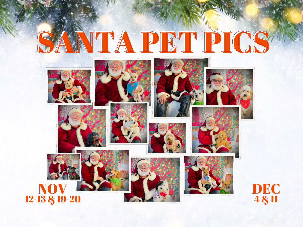 A collage of santa pet pics with a christmas tree in the background.