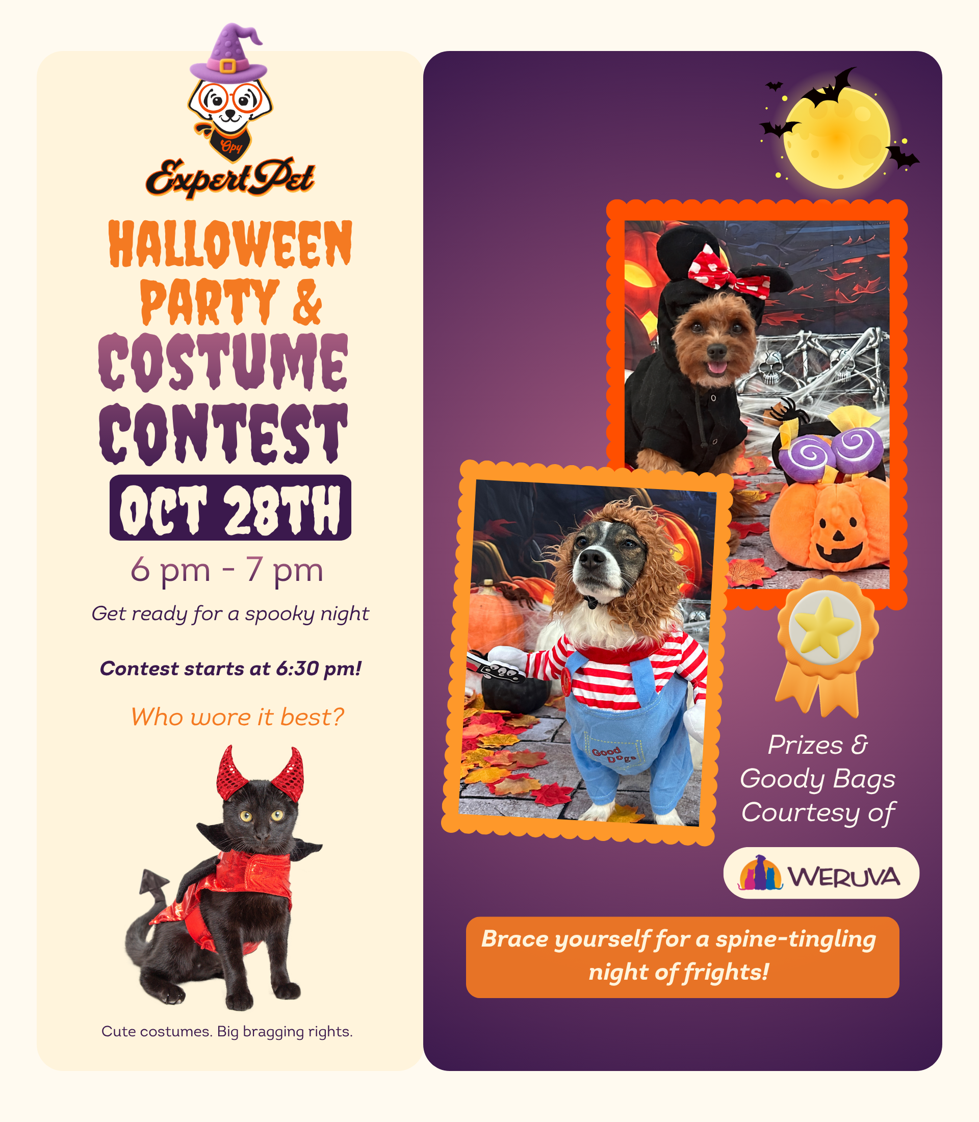 Halloween Photo Studio for pets and people