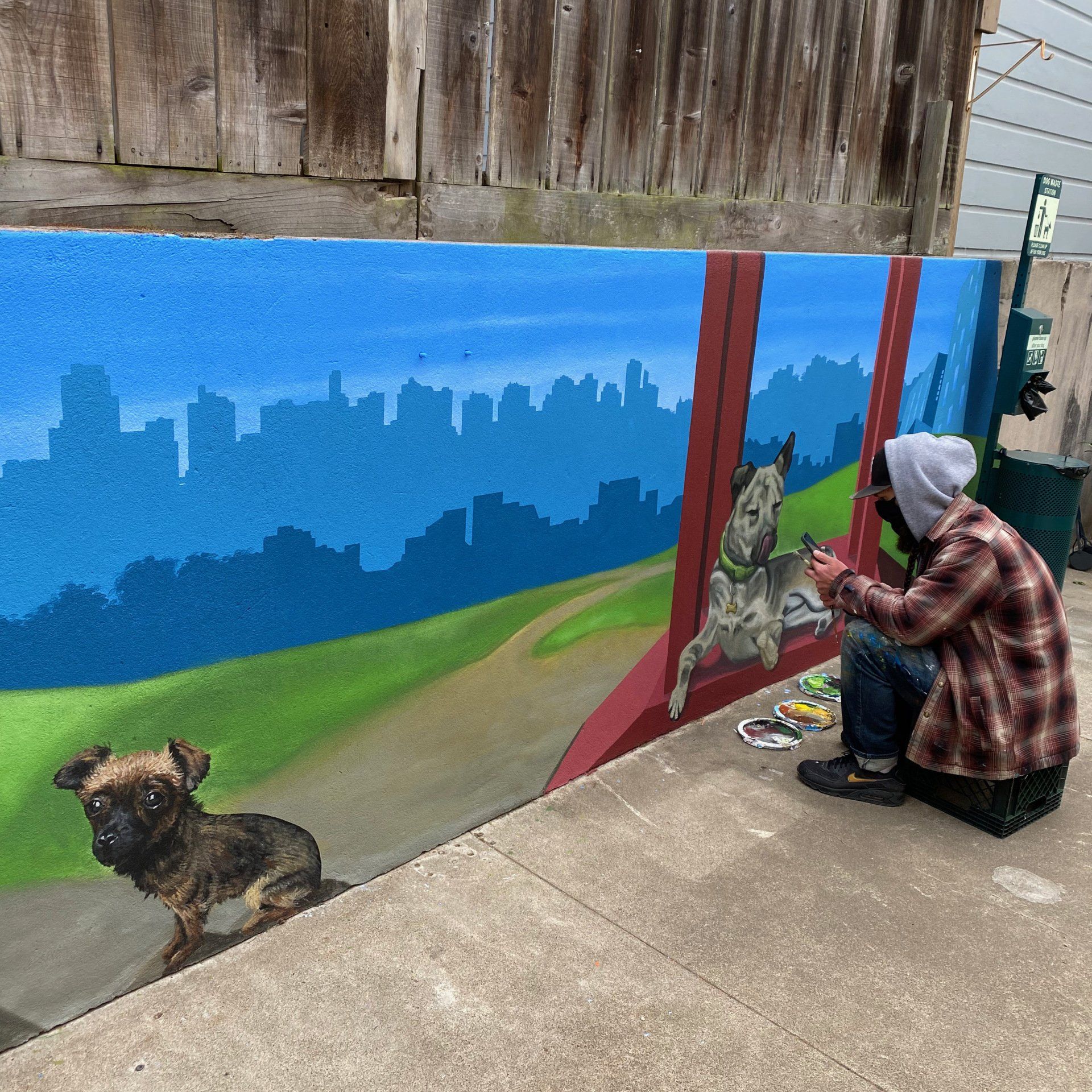 painting the wall