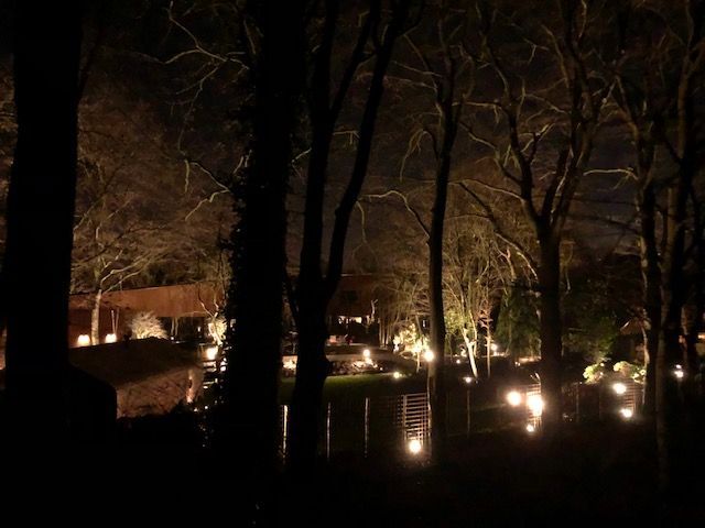 Een bosrijk gebied 's nachts met verlichte huizen en gloeiende lampen die in het water reflecteren.