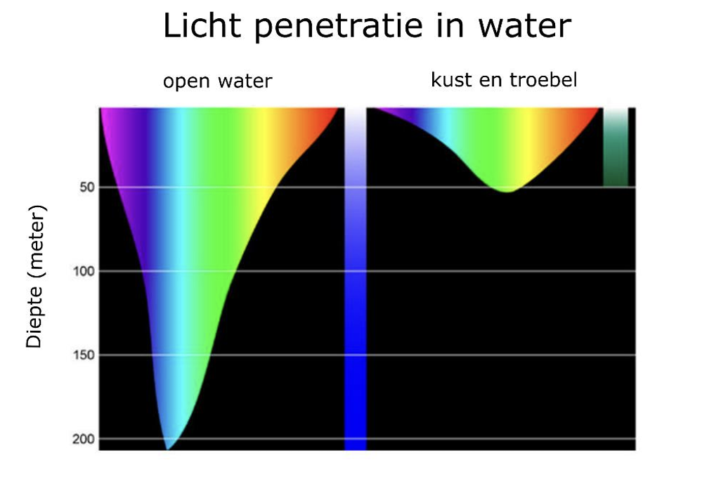 Diagram dat de lichtpenetratie in water weergeeft voor open zee en troebel kustwater voor de verschillende kleurspectra.