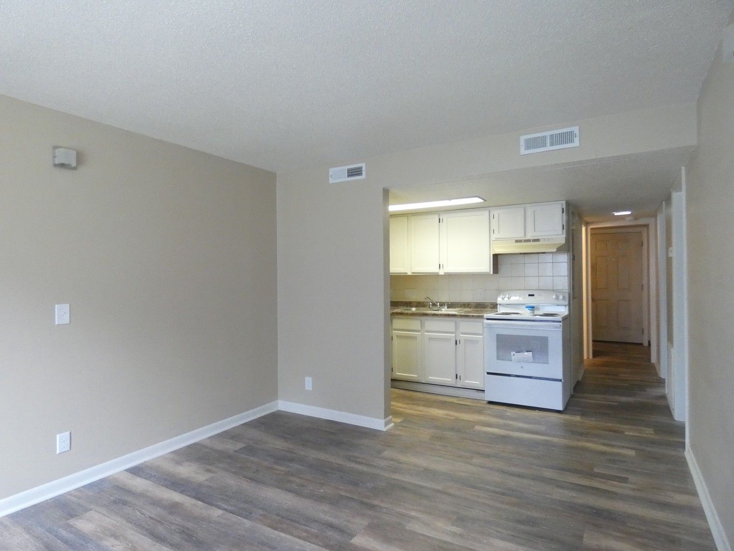 Skyview Apartments - Unfurnished Living Room