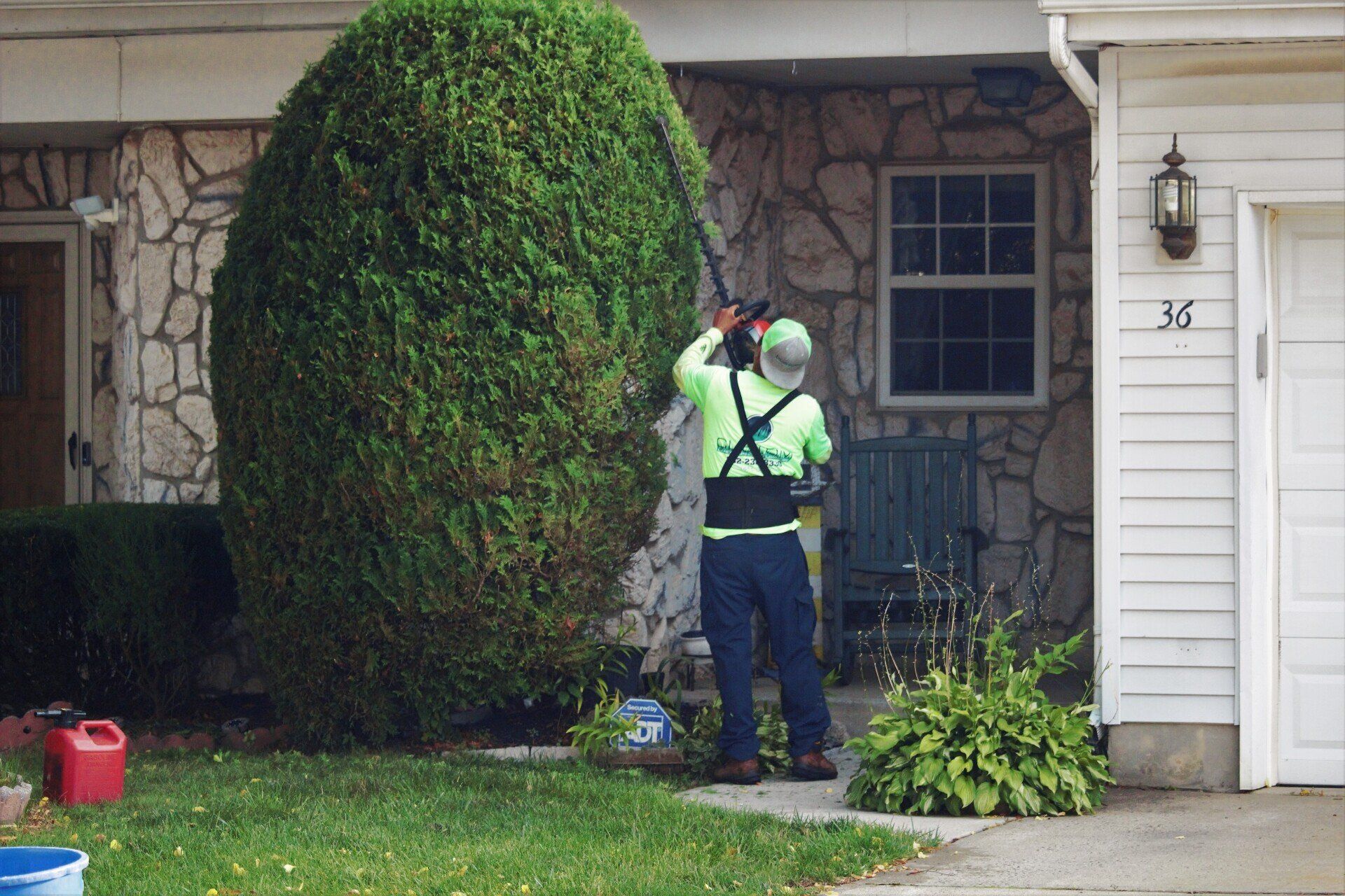 commercial pruning and trimming services