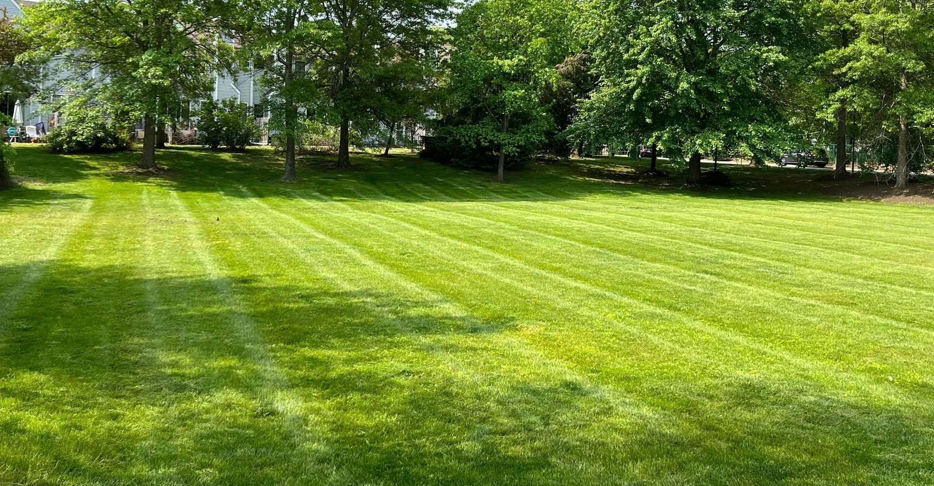 10 Benefits of Regular Lawn Mowing