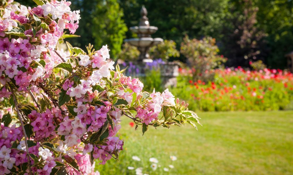 Garden for Spring Bloom