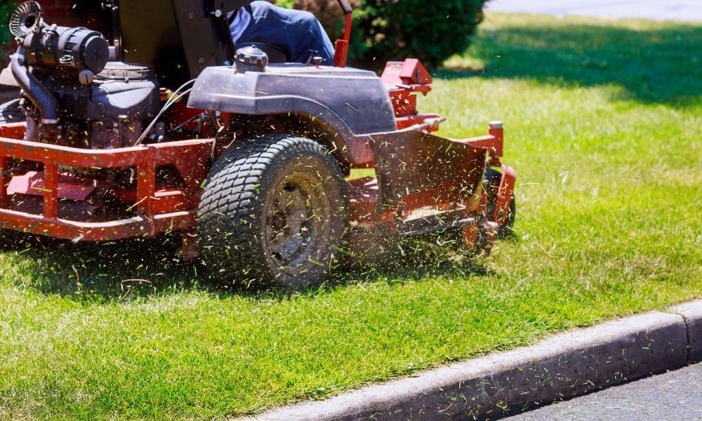 Organic Lawn Care
