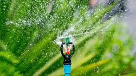 Sprinkler