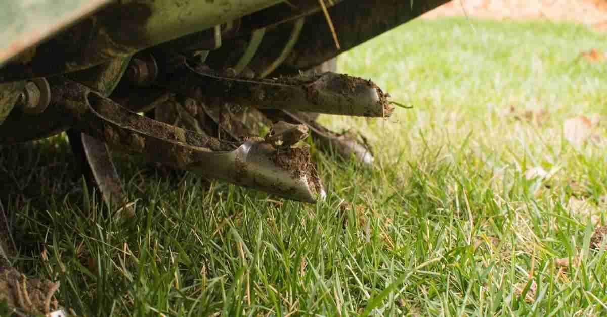 aeration and seeding