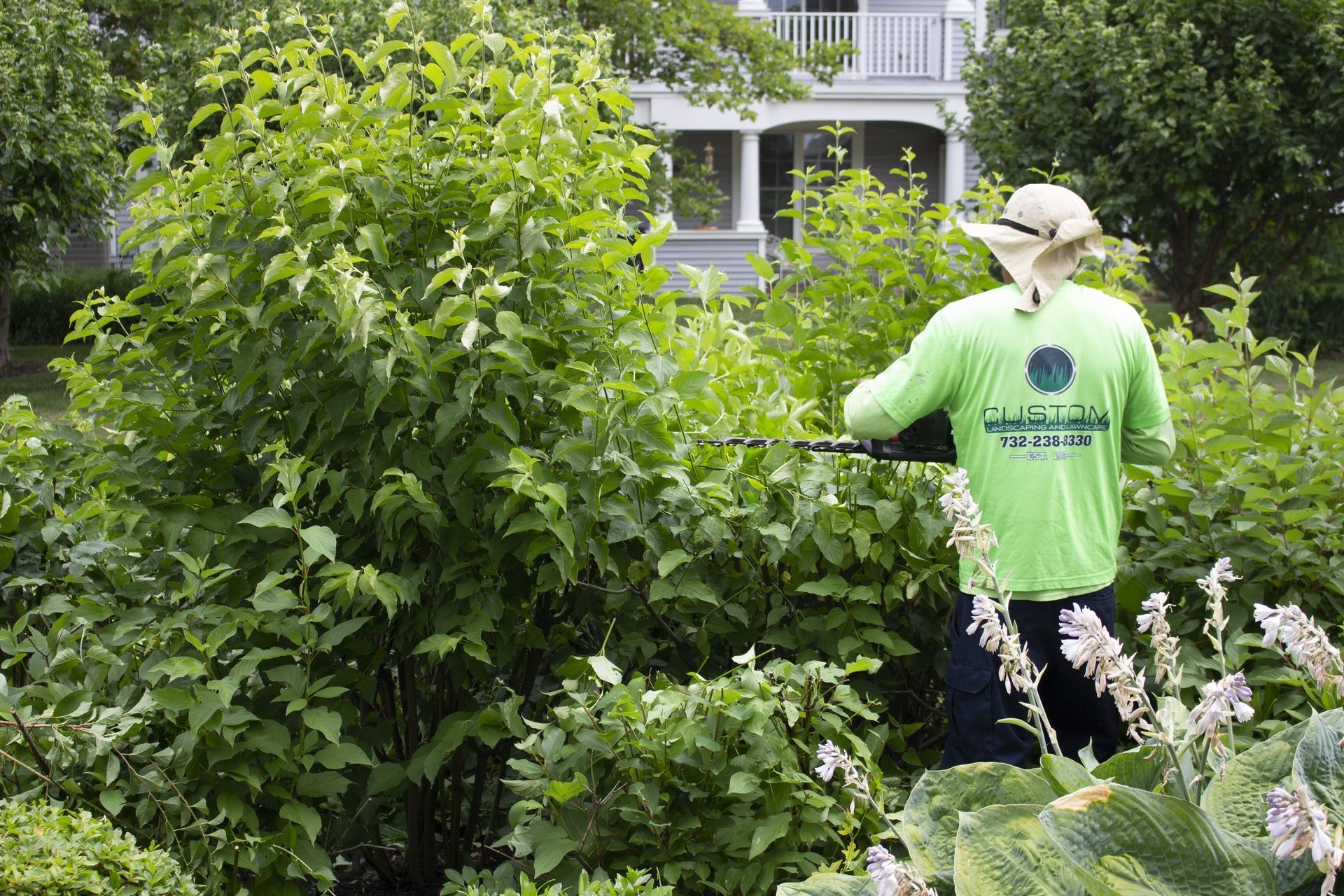 benefits of pruning and trimming plants