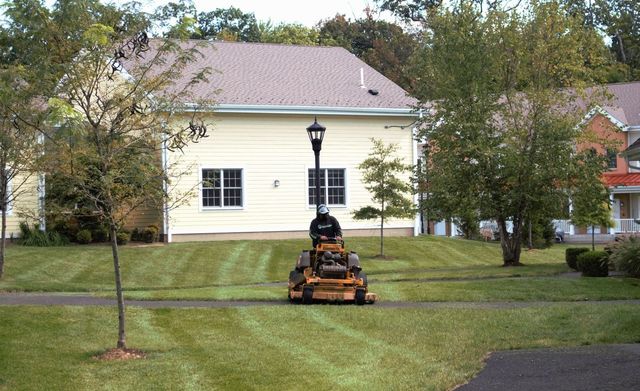 Optimizing Regional Garden Care to 2026 Environmental Standards thumbnail