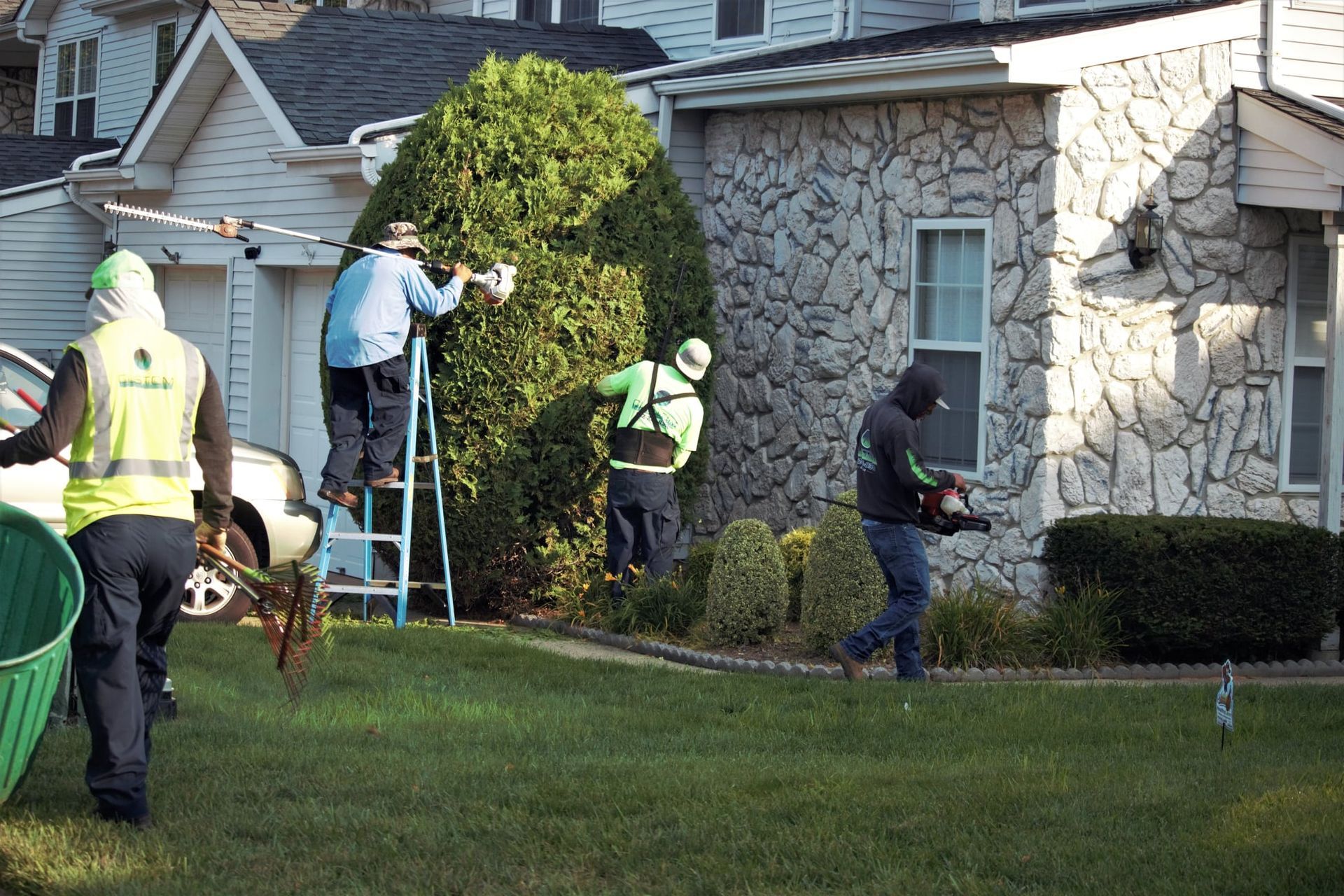 trimming service