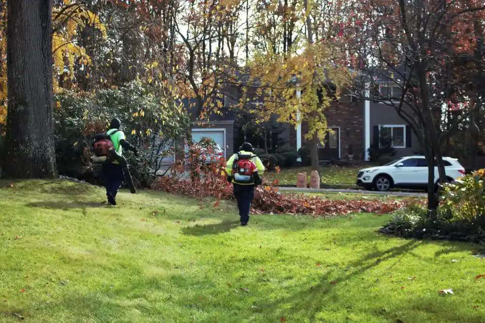 5 benefits of doing a fall yard cleanup