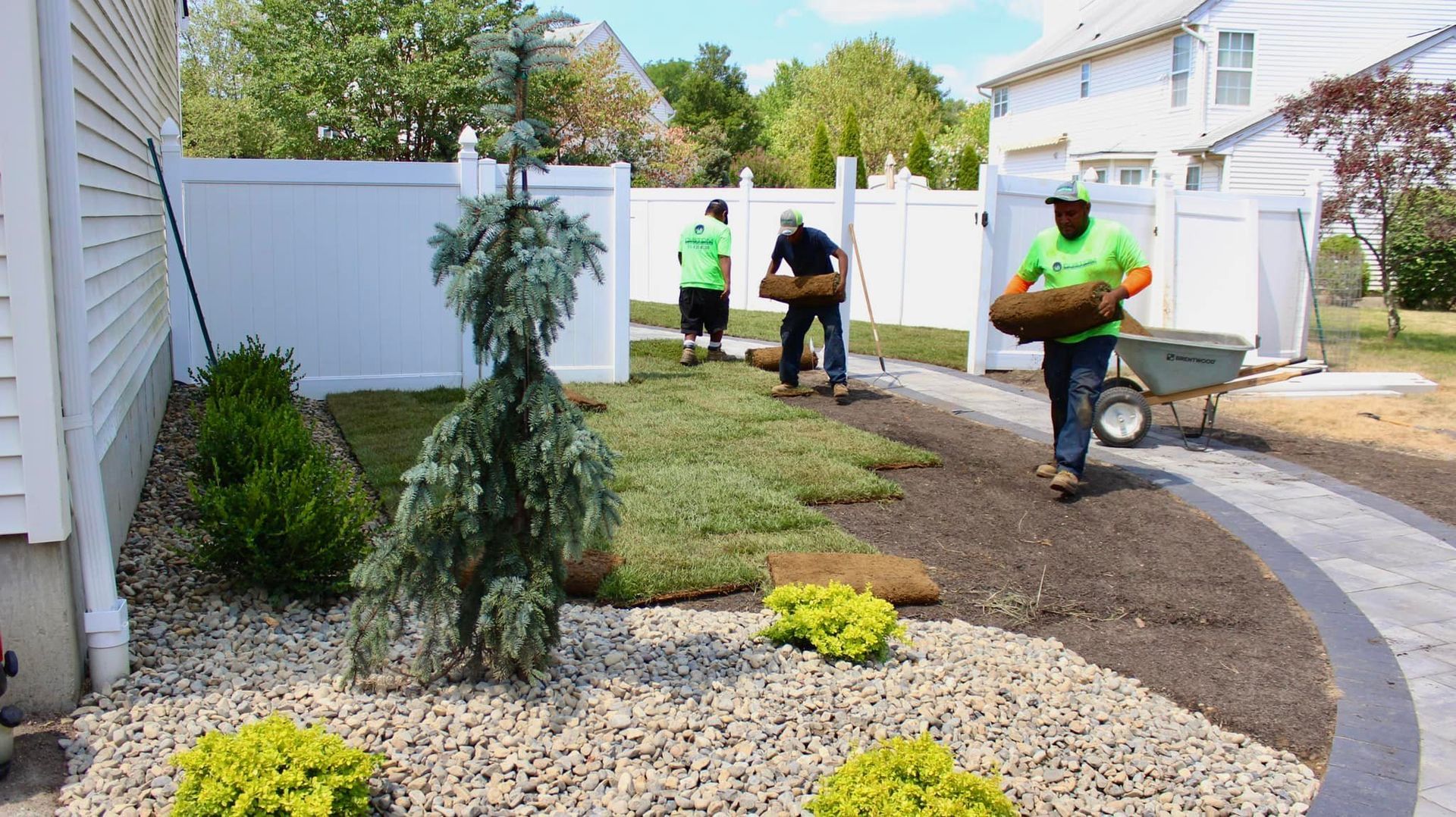 sod lawn