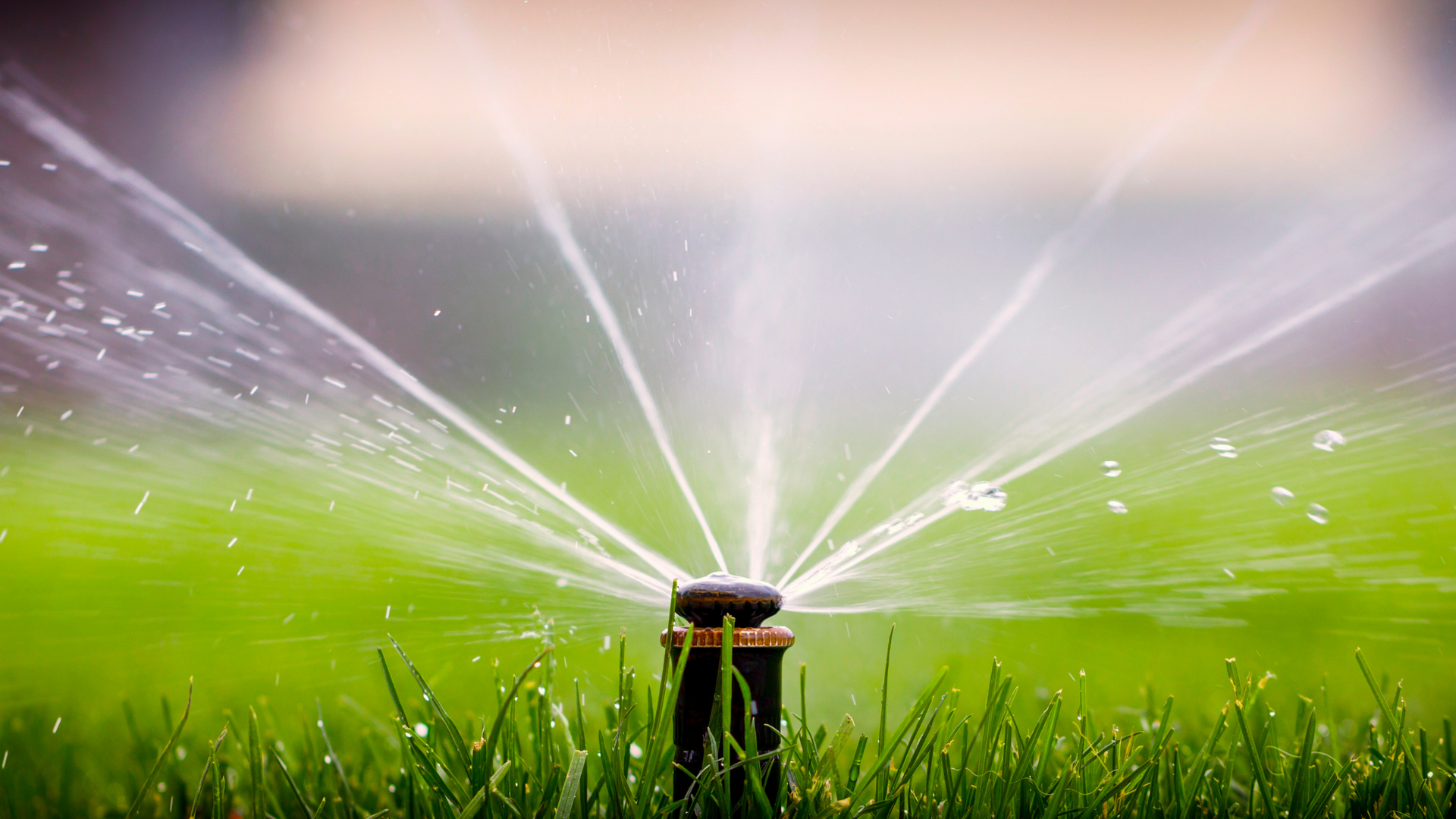 Water Usage with Irrigation