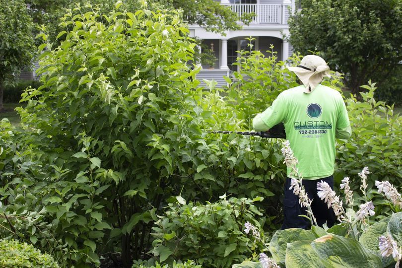 Landscaping Solutions for Enhancing Condo Community Aesthetics
