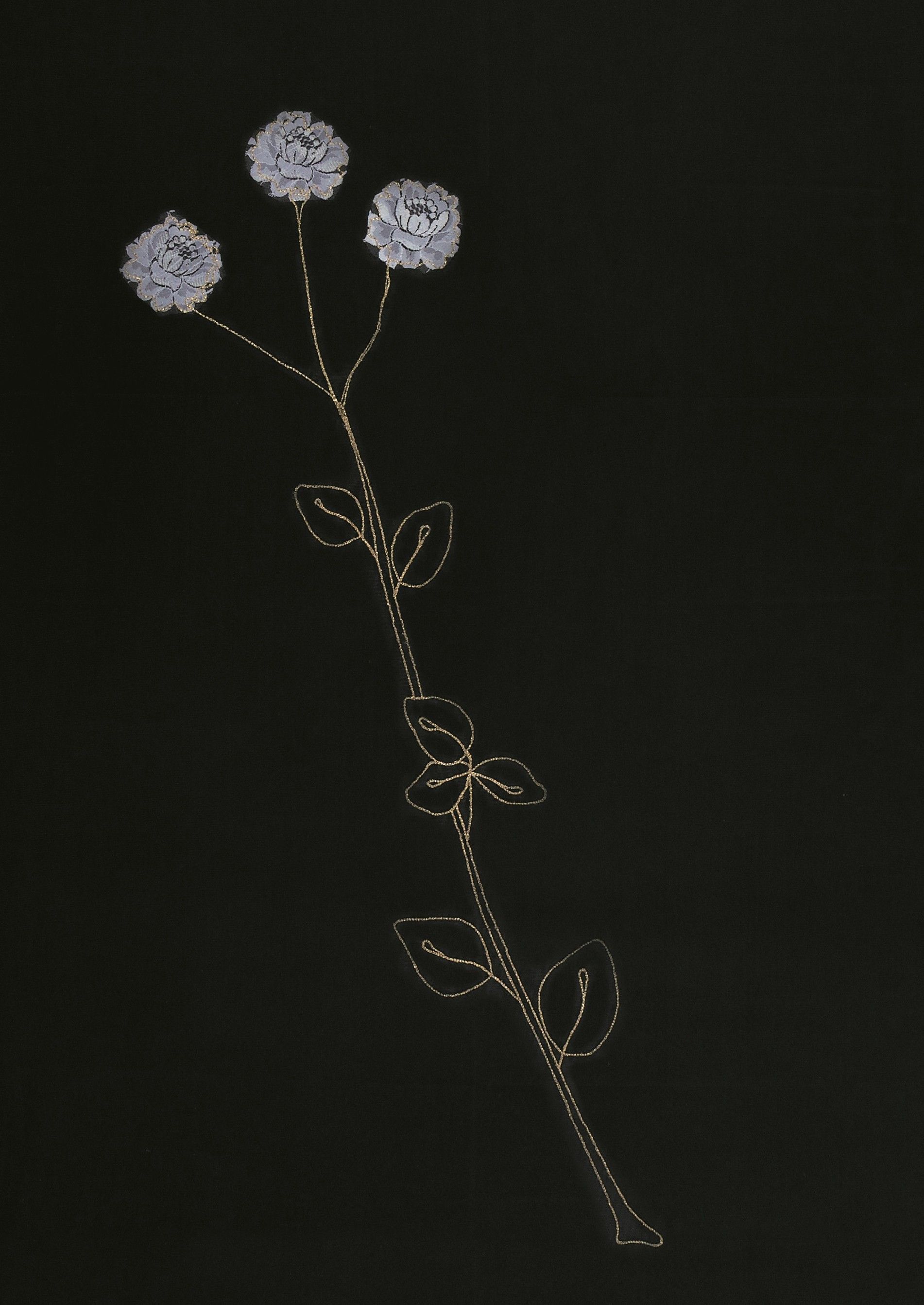 Velo Rose