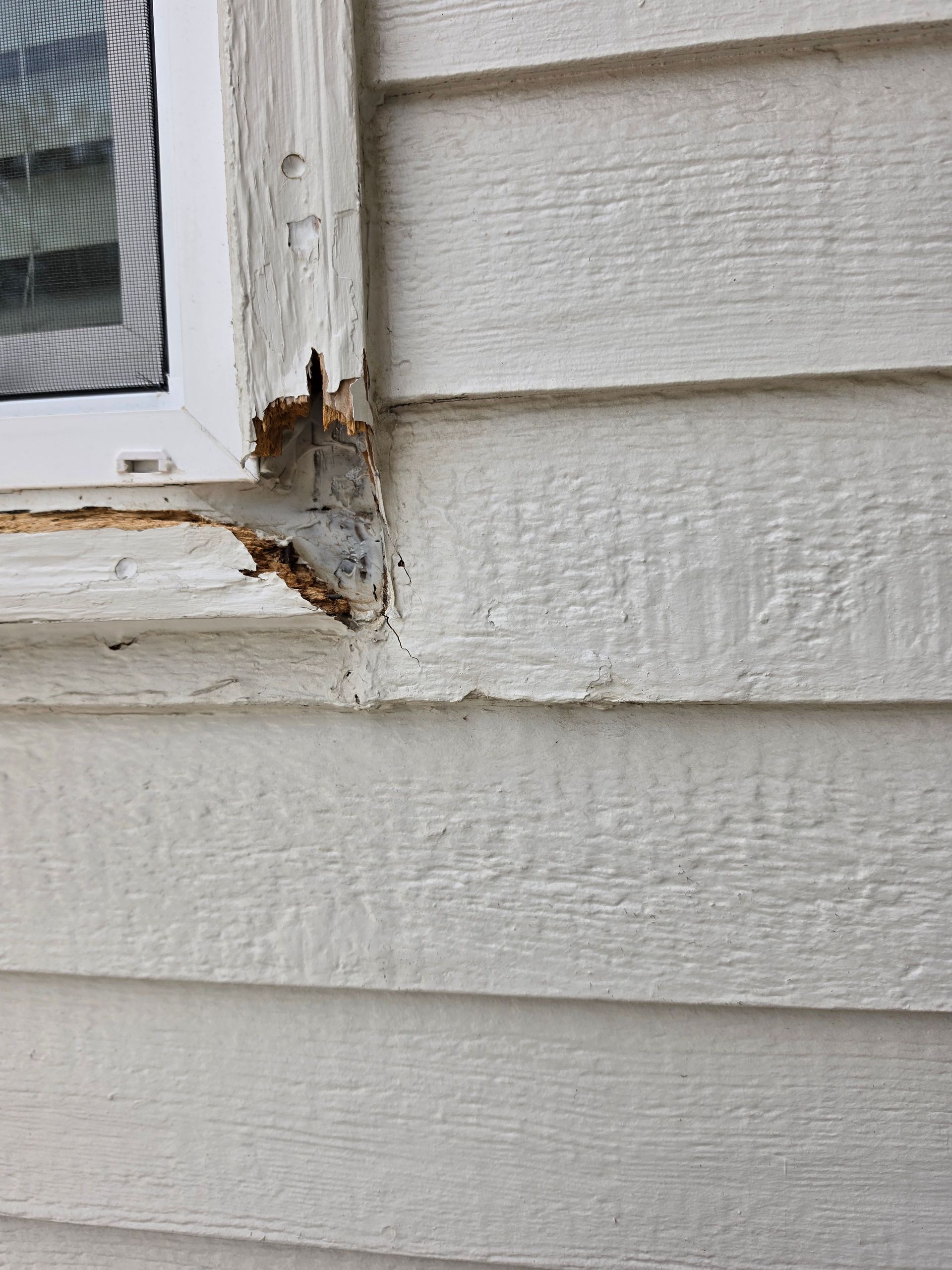 Siding and WindowTrim Replacement