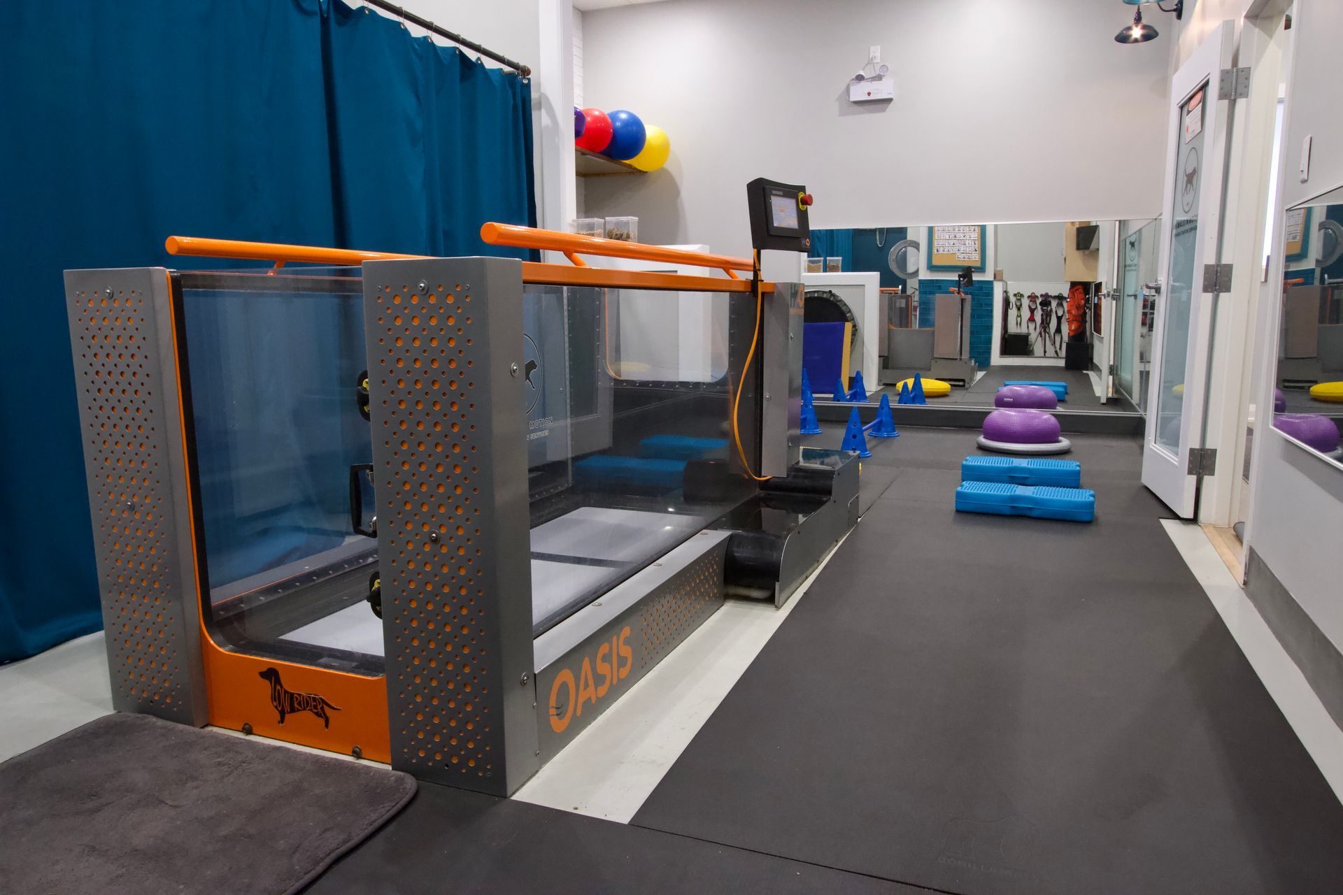 Animals In Motion Rehab