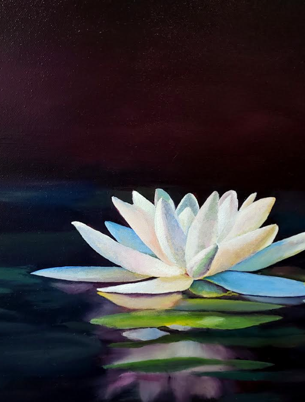 White water lily floating on dark water, reflected below, with a deep maroon background.