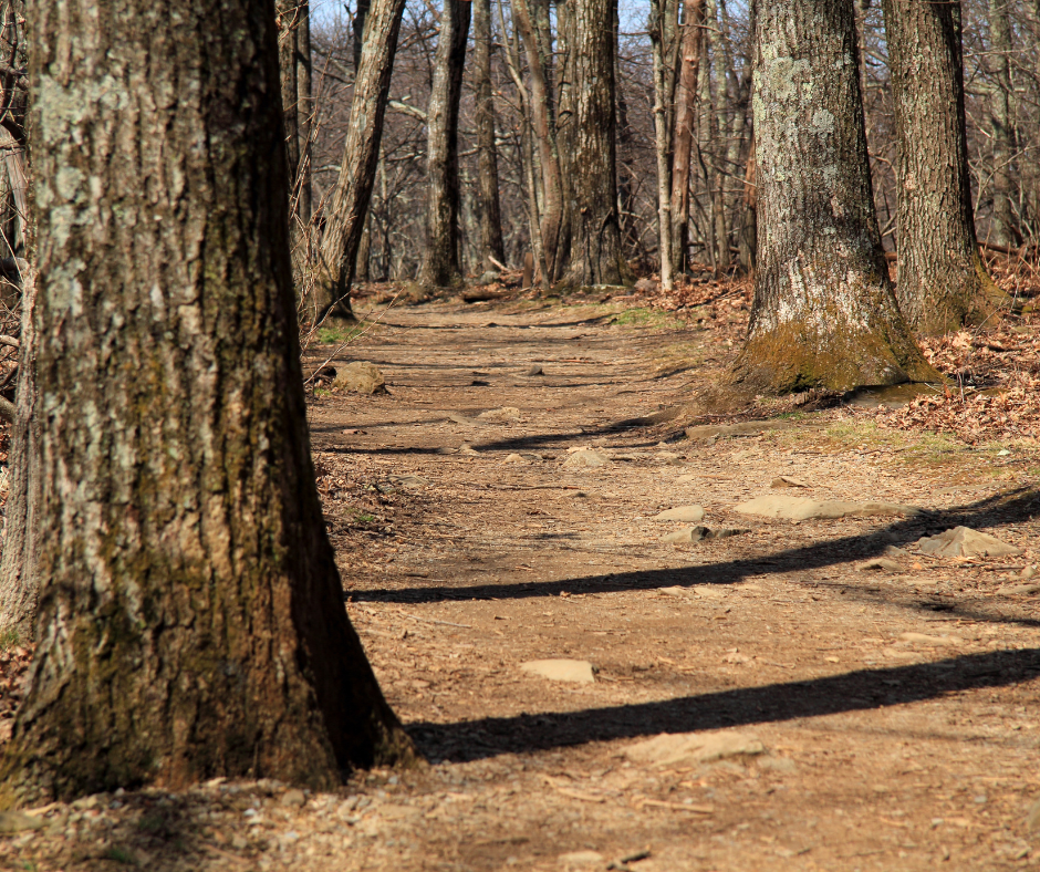 Local hiking trail