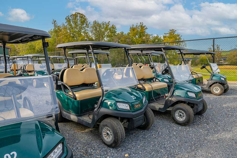 Luray RV RESORT & Campground
on Shenandoah River