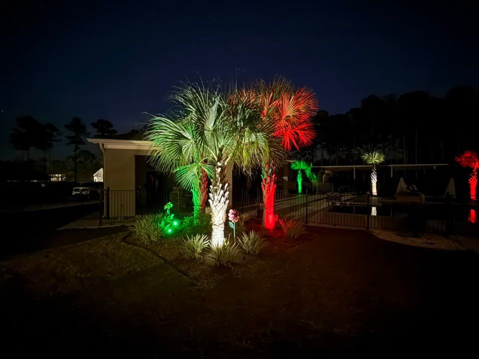 Palm trees illuminated with red and green lights at night.
