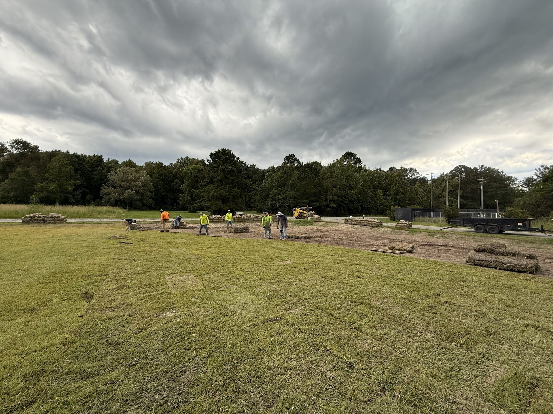 Workers laying sod in a field under a cloudy sky. Trees and a truck are in the background.