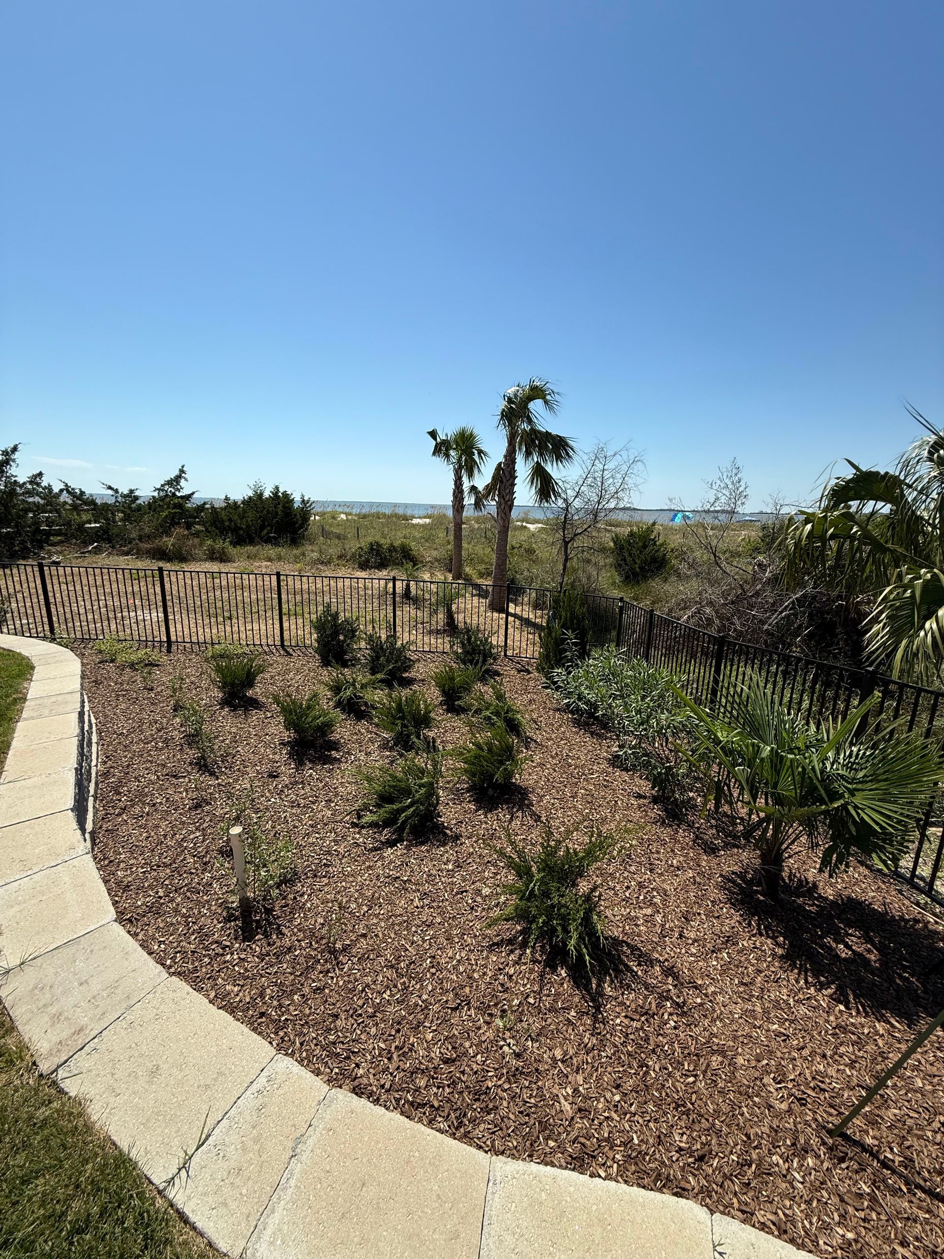 Stone path leads to a beach garden with palm trees, brown mulch, and blue sky.