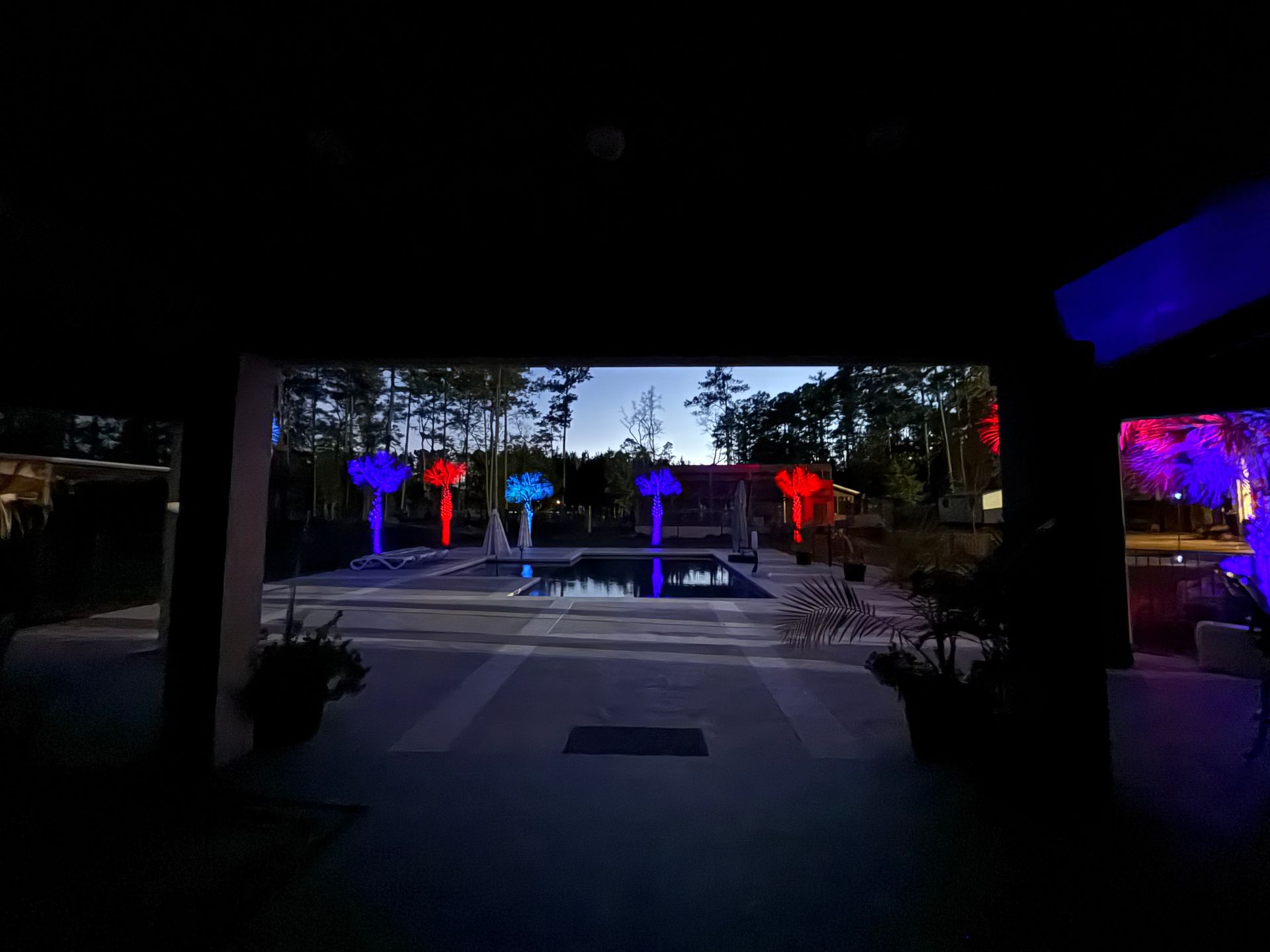 Nighttime view of a pool area with trees illuminated in red and blue.