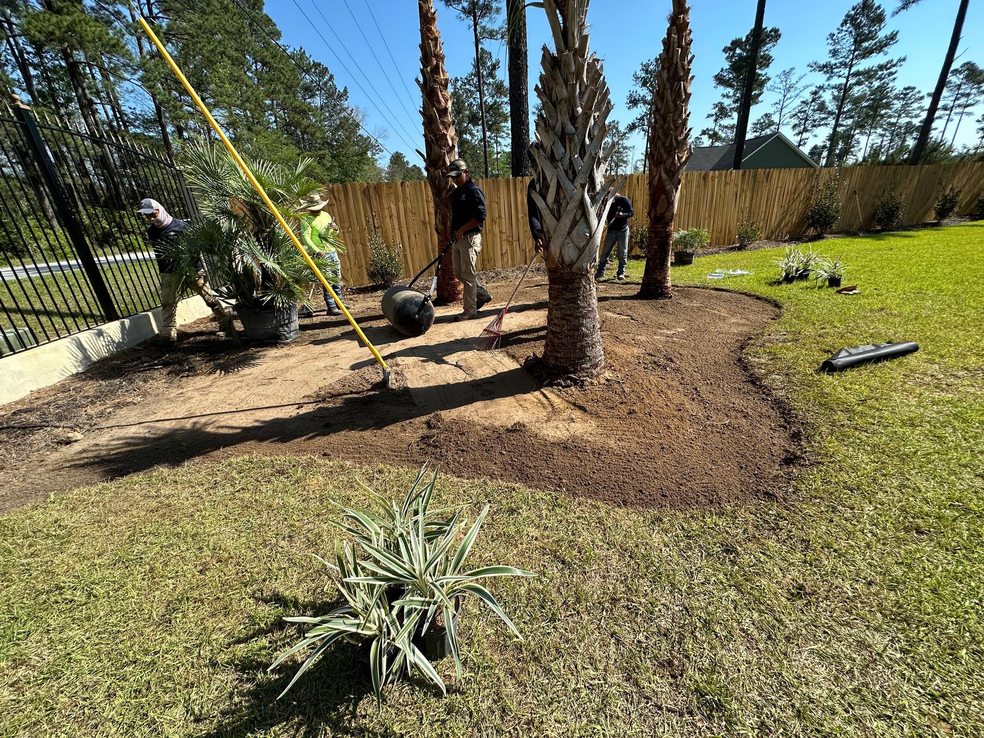 Landscapers planting trees in a yard with a black fence, straw fence, and green grass.