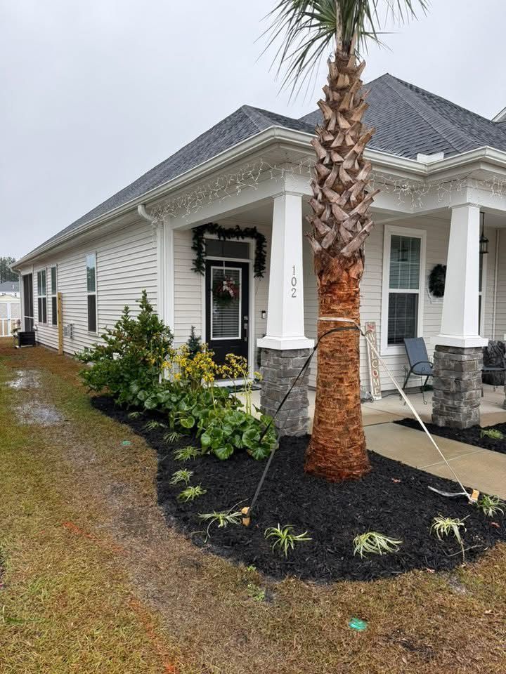 House exterior with white siding, black mulch landscaping, and a palm tree.