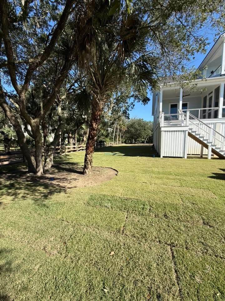 Lush green lawn with trees and a white house on the right, under a clear blue sky.