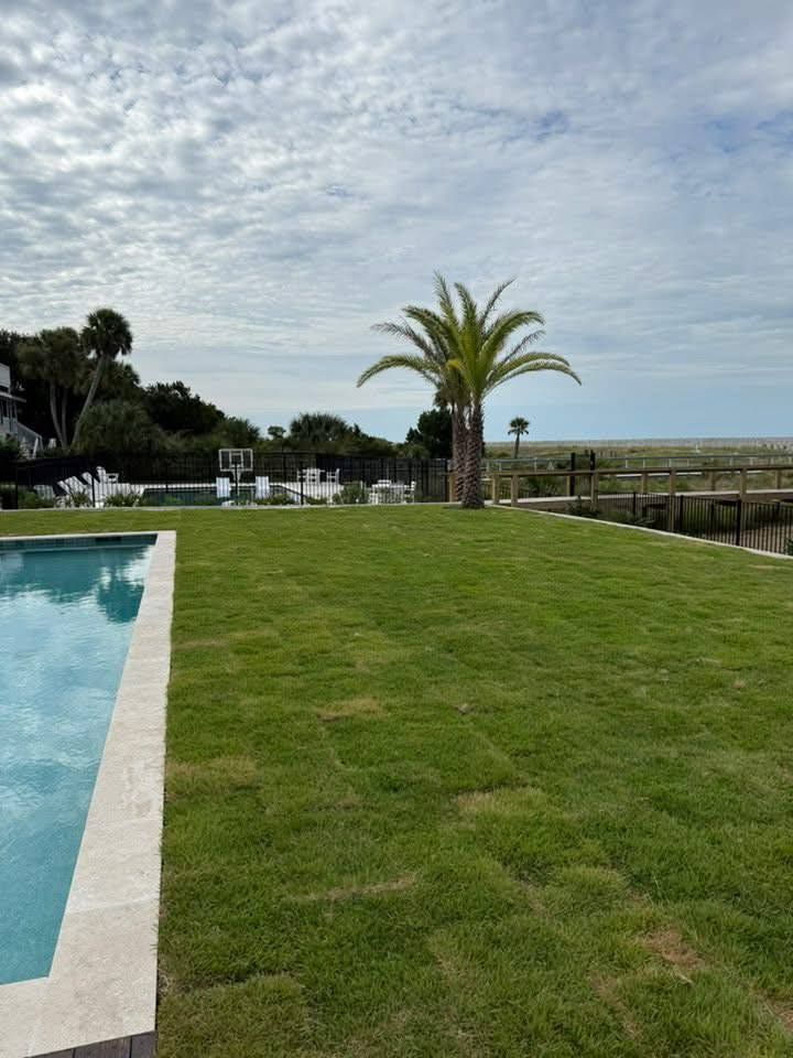 Lush green lawn with palm tree near a pool and beach under a cloudy sky.