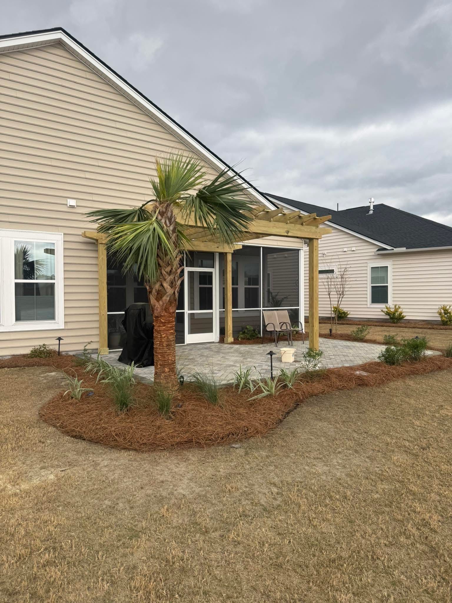 Backyard patio with a screened porch, small palm tree, and landscaping.