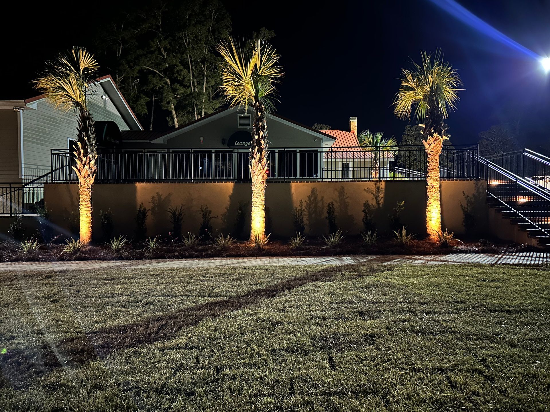 Palm trees illuminated at night, casting shadows on grass, in front of a building with a black railing.