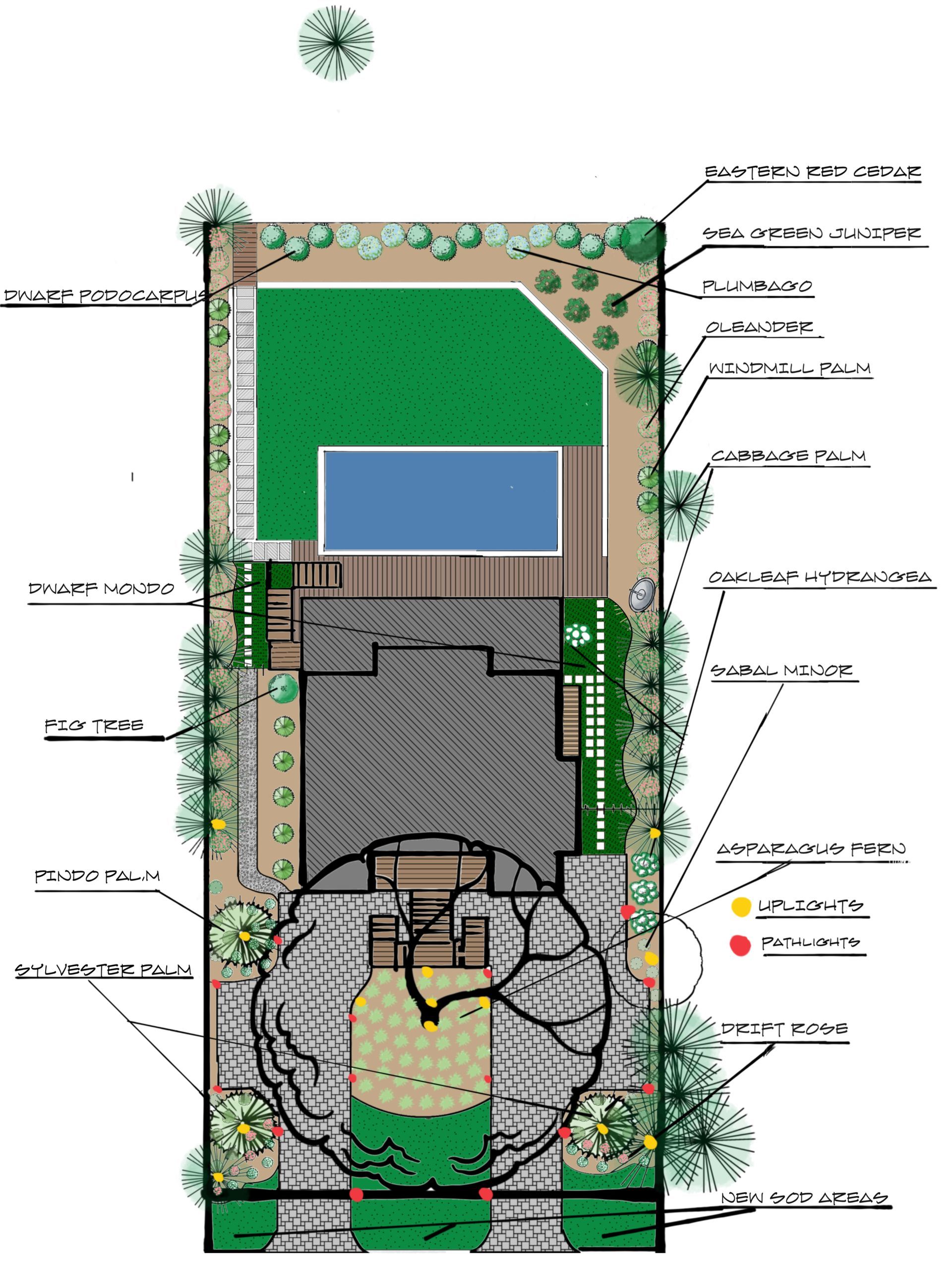 Overhead view of a backyard plan with a patio, garden beds, pool, and lawn. Various trees and shrubs are labeled.