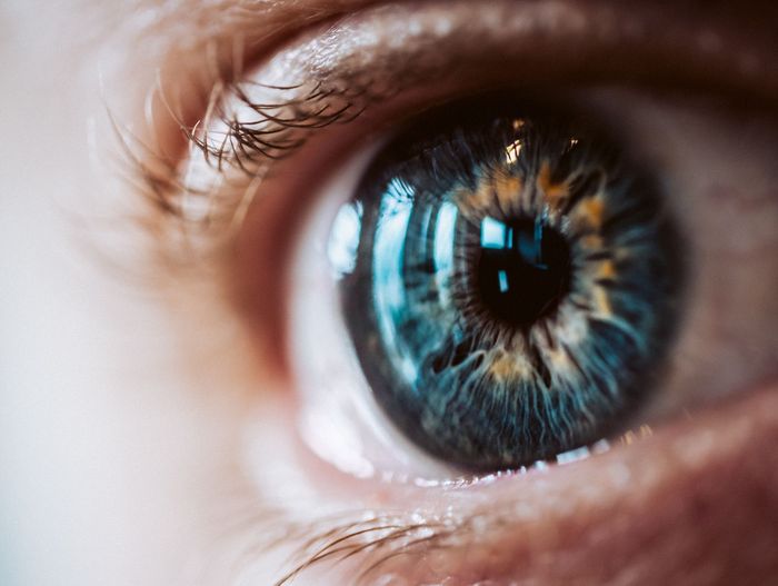 Fisioterapia Ocular