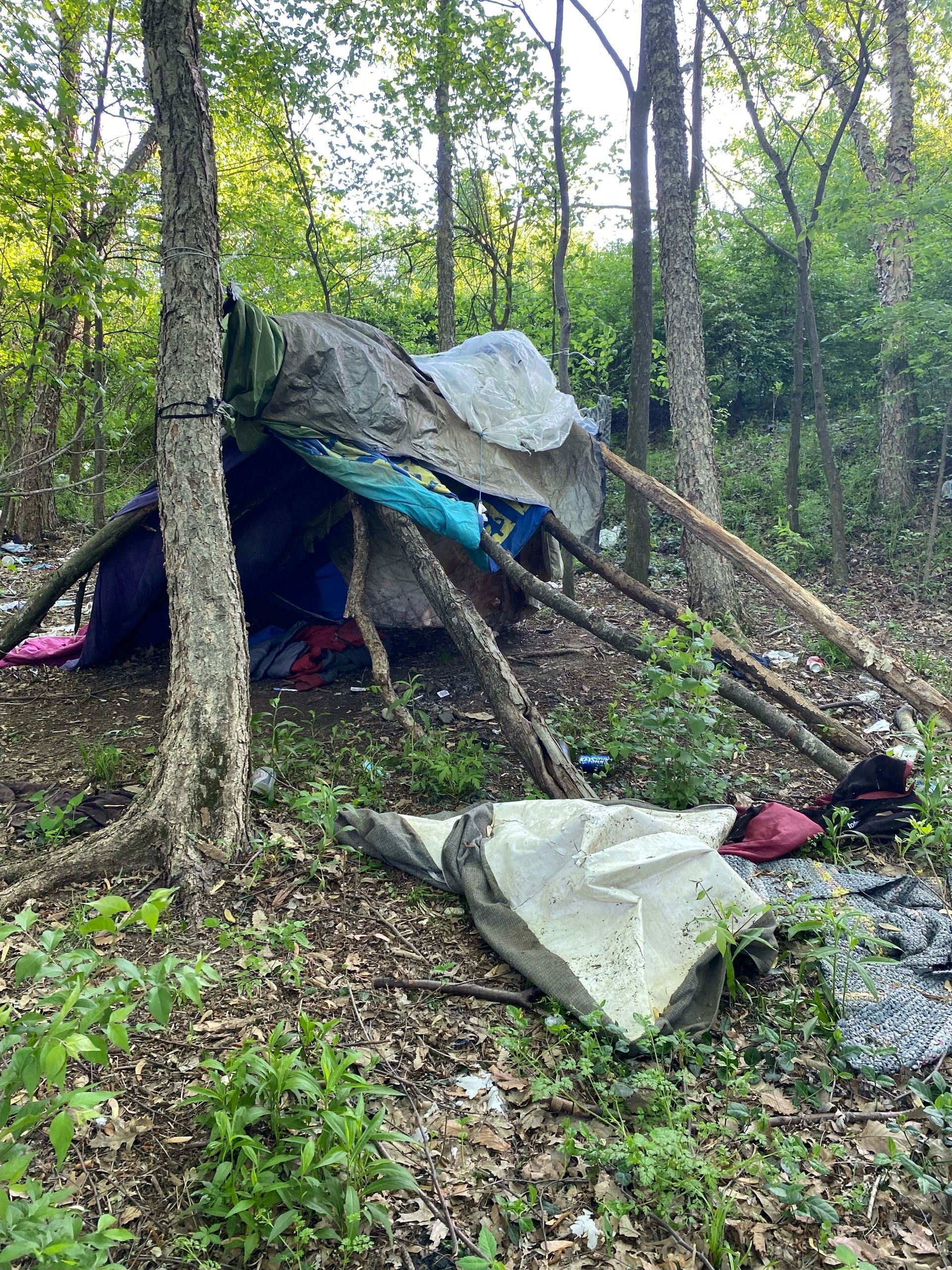 A makeshift shelter constructed with branches, tarps, and fabric nestled among trees in a wooded area.