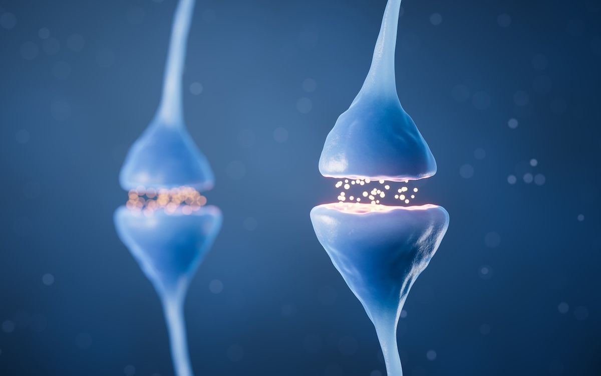 Two glowing blue cell-like forms suspended in a dark blue background, connected by a narrow bridge