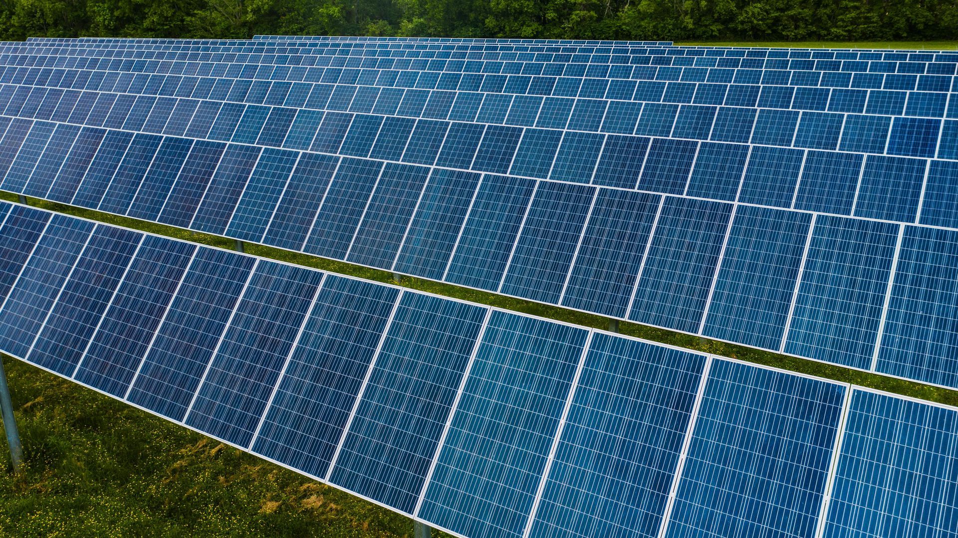 Uma fileira de painéis solares no topo de um campo verdejante