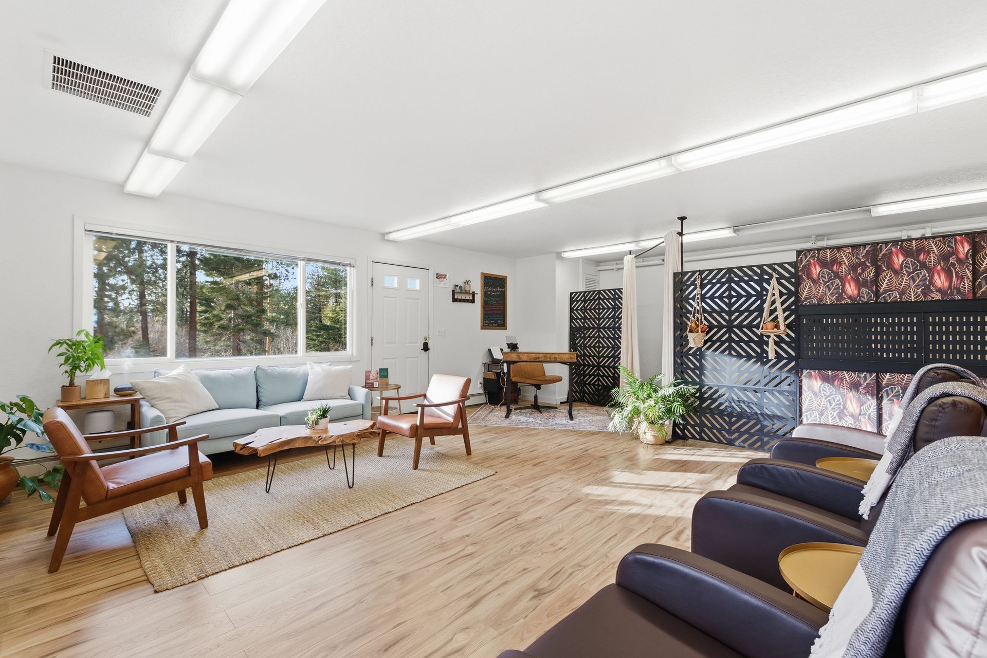 Bright living room with large windows, wood floors, sofas, chairs, and indoor plants