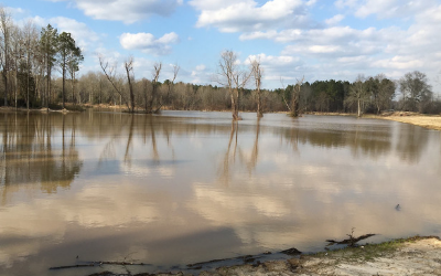Flooded dirt road beside a calm river under a cloudy sky, with trees reflected in the water