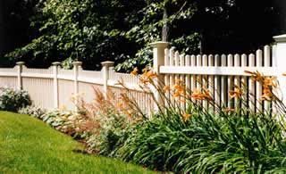 White picket fence behind a lush garden of green plants and orange flowers