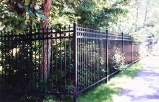 Black wrought-iron fence along a tree-lined path in bright daylight