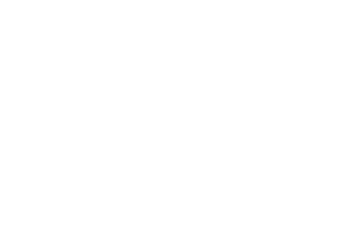 Blank white rectangle on a plain background