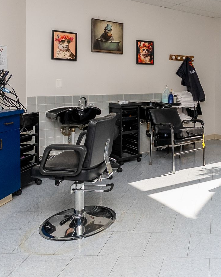 Empty salon station with a black styling chair, shampoo sink, mirrors, and wall art in a bright room