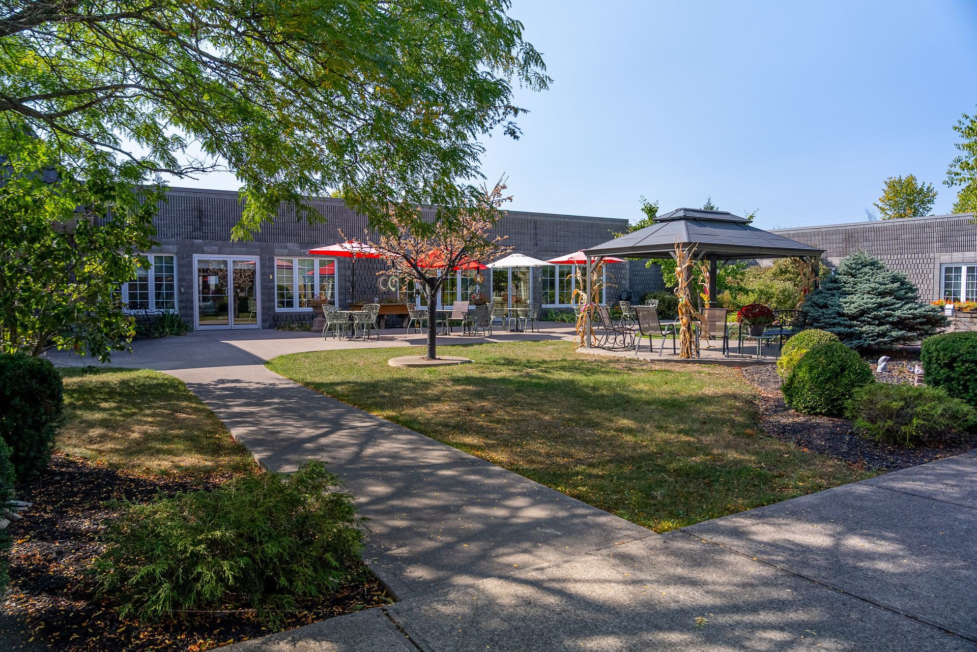 Courtyard with paved paths, patio umbrellas, and a building with large windows under a sunny blue sky