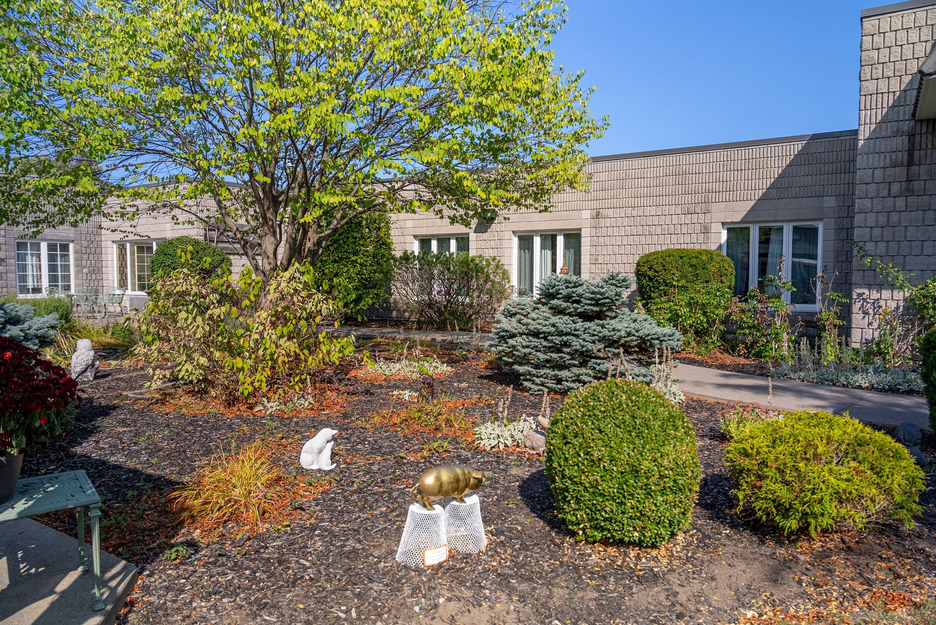 Stone house garden with green shrubs, a tree, and a paved walkway in front of windows